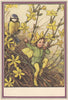 Winter Jasmine Fairy by Cicely Mary Barker. Winter Flower Fairies 1985 print
