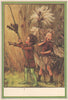 Rush-Grass & Cotton-Grass Fairy. Cicely Mary Barker. Winter Flower Fairies 1985