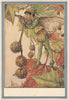 Plane Tree Fairy by Cicely Mary Barker. Winter Flower Fairies 1985 old print