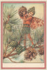 Pine Tree Fairy by Cicely Mary Barker. Winter Flower Fairies 1985 old print