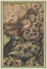 Old-Man's-Beard Fairy by Cicely Mary Barker. Winter Flower Fairies 1985 print