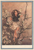 Blackthorn Fairy by Cicely Mary Barker. Winter Flower Fairies 1985 old print