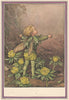 Winter Aconite Fairy by Cicely Mary Barker. Winter Flower Fairies 1985 print