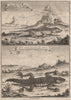 SOUTH AFRICAN REPTILES. Small Cape Lizard. Great Cape Lizard. From TACHARD 1746