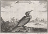 CHINA. 'Lou Wa or Fishing Bird with the manner of Fishing'. After NIEUHOF 1746