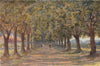 Oak Avenue, Newlands, Cape Town, South Africa, by William Westhofen 1910 print