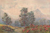 Silver Trees & Wild Geraniums, Cape Town, by William Westhofen 1910 old print