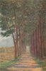 Fir Avenue 'Alphen ', Cape Town, South Africa, by William Westhofen 1910 print