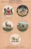 BRITISH SOUTH AFRICA BADGES Cape Good Hope Natal Orange River Colony BSAC 1916