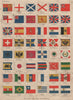 NATIONAL FLAGS. Ensigns, Royal & Imperial Standards.  JOHNSTON 1895 old print