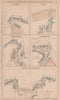 SCOTLAND NE PORTS Burghead Nairn Fraserburgh Lossiemouth Banff Macduff 1868 map