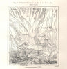 Successive bed changes Pau Gave. Tarbes Lourdes Hautes-Pyrénées. Sketch map 1885