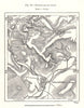 Stratford-on-Avon. Warwickshire. Sketch map 1885 old antique plan chart