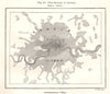 The Growth of London 1600-1746-1848-1873. Sketch map 1885 old antique