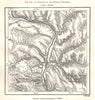 A Portion of the Middle Dniester. Moldova. Sketch map 1885 antique