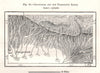 Chuguchak Tacheng Qoqek Sawesek Chöchek. Tarbagatai Range. China Sketch map 1885