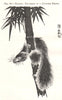 Badger: Fac-simile of a Japanese Design 1885 old antique vintage print picture