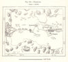 Diriyah. Saudi Arabia. Sketch map 1885 old antique vintage plan chart
