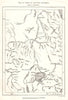 Basin of the Nile Affluents. East Africa. Lake Victoria. Sketch map 1885