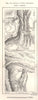 Lakes of East Abyssinia. Lake Hayk & Hashenge Ethiopia. Sketch map 1885