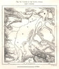 Course of the Lower Awash. Ethiopia. Sketch map 1885 old antique chart