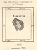 Pool Surrounded by a Village. Rubanivka. Ukraine. Sketch map. SMALL 1885