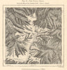 Mount Elbrus. Russia. Sketch map 1885 old antique vintage plan chart