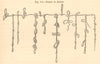 String of Quipos. Peru. Quipu. Inca. Decorative 1885 old antique print picture