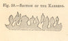 Section of the Karrens. Austria. SMALL 1886 old antique vintage print picture