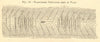 Tansverse Crevasses seen in plan. Glacier. SMALL 1886 old antique print