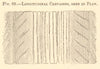 Longitudinal crevasses seen in profile. Glacier. SMALL 1886 old antique print