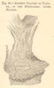 Ancient Glacier of Yang-ma in the Himalayas; after Hooker. China. SMALL 1886 map