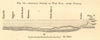 Artesian System of Wed Ri'r; after Dubocq. Algeria. Biskra. SMALL. Section 1886