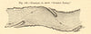 Diagram to show 
