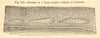 Shores of a lake during period of growth. SMALL 1886 old antique print picture