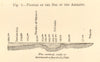 Profile of the Bed of the Adriatic. Italy. SMALL. Section 1886 old print