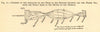 Tide swellings timings crossing. English Channel & North Sea. SMALL Graph 1886