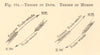 Theory of Dove. Theory of Muhry. SMALL 1886 old antique vintage print picture