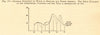 England & North America wind directions. SMALL. Graph 1886 old antique print