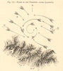 Storm in the Pyrenees (after Lartigue) 1886 old antique vintage map plan chart