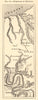 Hurricane of Monville. Seine-Maritime. Dieppe Rouen. Sketch map 1886 old