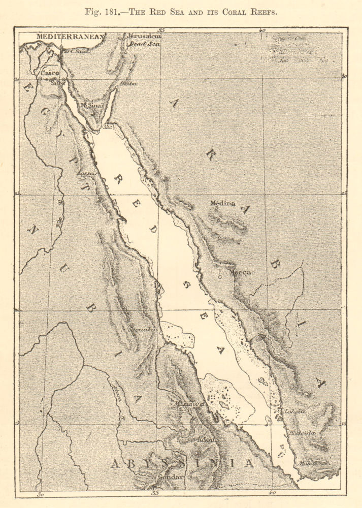 The Red Sea and its coral reefs. Arabia Egypt. Sketch map 1886 old antique