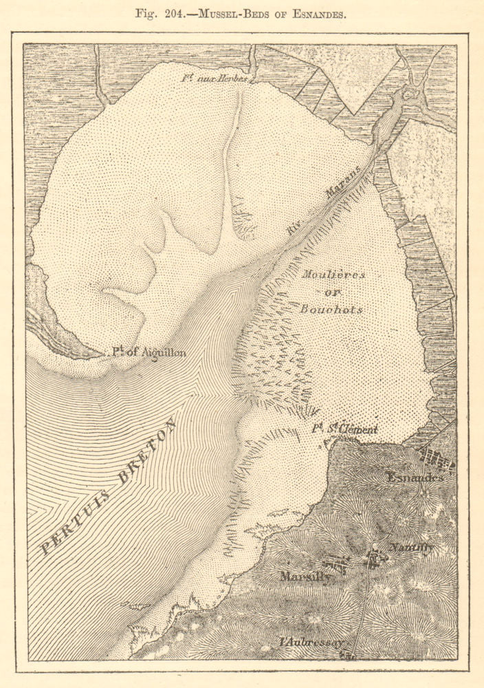 Esnandes mussel beds. Charente-Maritime. Baie de l'Aiguillon. Sketch map 1886