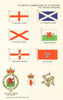 UK FLAGS St George Andrew Patrick Cross Welsh Dragon Badge Northern Island 1964