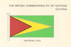 GUYANA FLAGS. National Flag 1968 old vintage print picture
