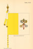 VATICAN FLAGS. Papal State. Flag of the Vatican City 1955 old vintage print