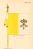 VATICAN FLAGS. Papal State. Flag of the Vatican City 1955 old vintage print