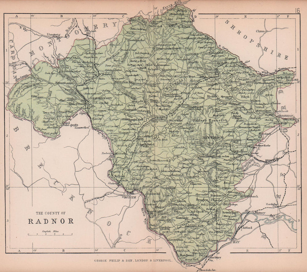 RADNORSHIRE "The County of Radnor" Wales BARTHOLOMEW 1882 old antique map