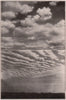 Clouds: 1. Cumulus. 2. Strato Cumulus. Landscapes 1903 old antique print