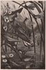 Dragon Flies. Insects 1903 old antique vintage print picture